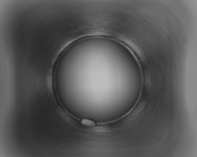 X0000102801460200808251039