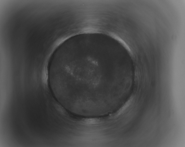 X0000102801461200808251039
