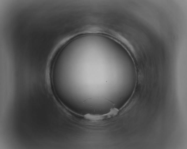 X0000102801464200808251039