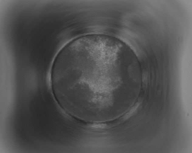 X0000102801466200808251039