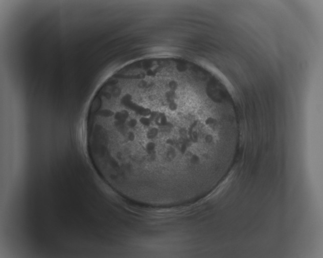 X0000102801467200808251039