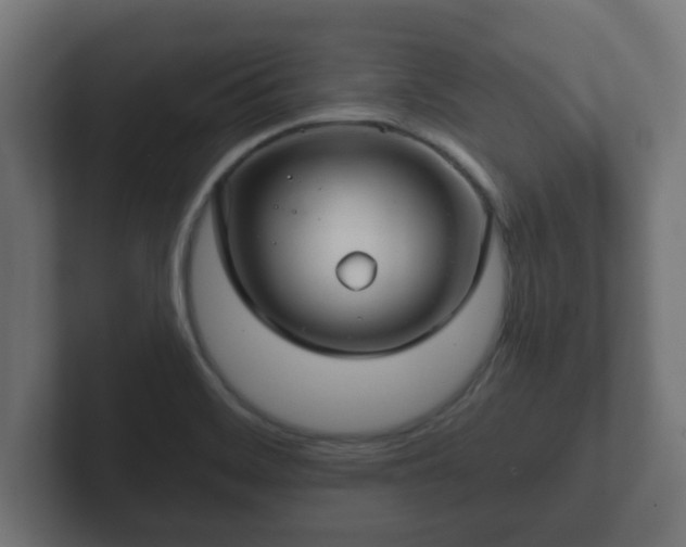 X0000102801468200808251039