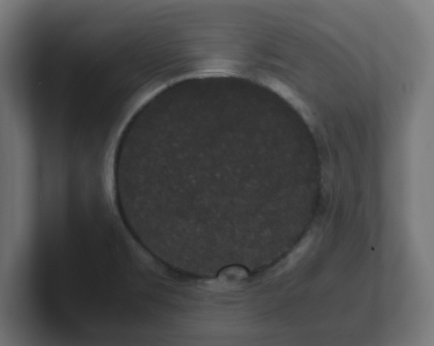 X0000102801469200808251039