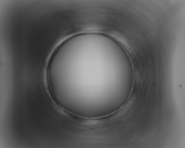 X0000102801470200808251039