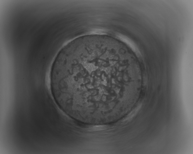 X0000102801471200808251039