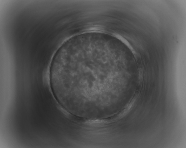X0000102801474200808251039