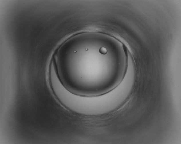 X0000102801477200808251039