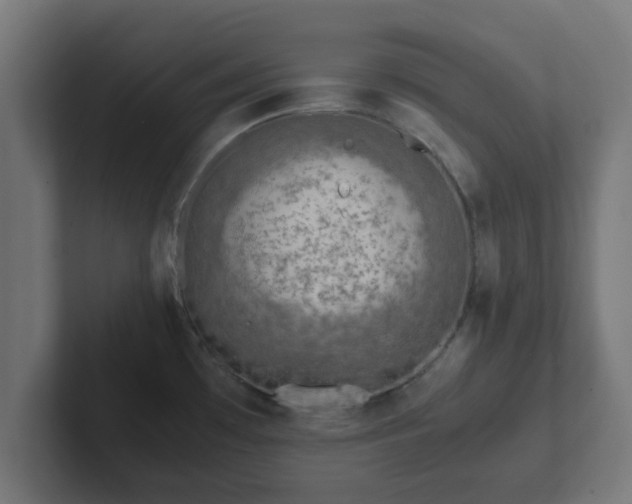 X0000102801481200808251039
