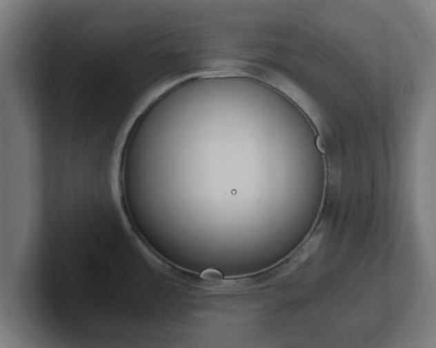 X0000102801485200808251039