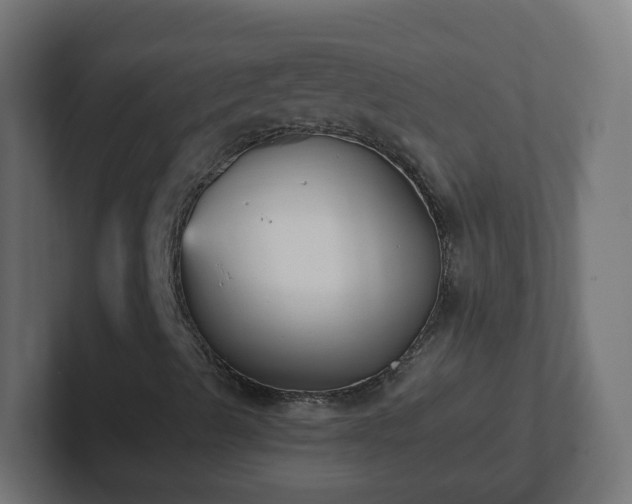 X0000102801489200808251038