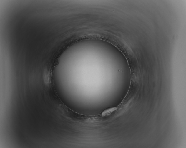 X0000102801490200808251038