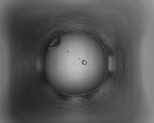X0000102801491200808251038