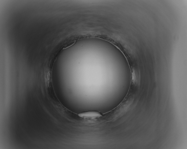 X0000102801492200808251038