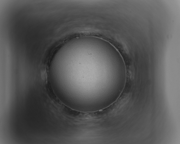 X0000102801493200808251038