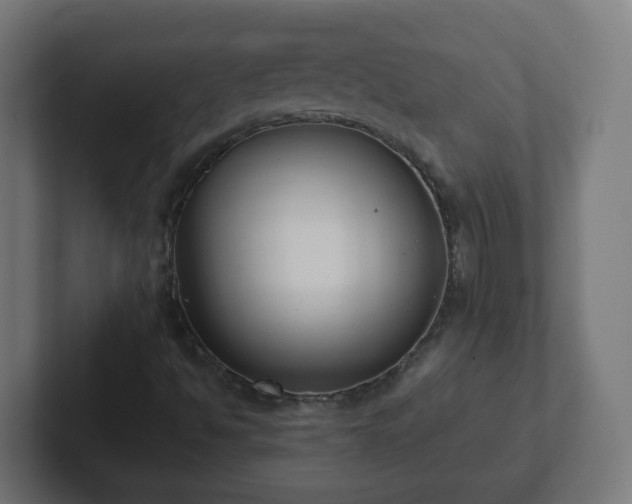 X0000102801494200808251038