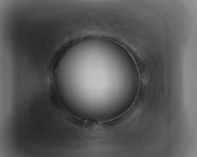 X0000102801495200808251038