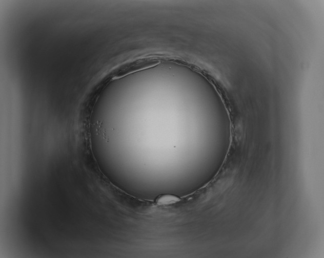 X0000102801496200808251038