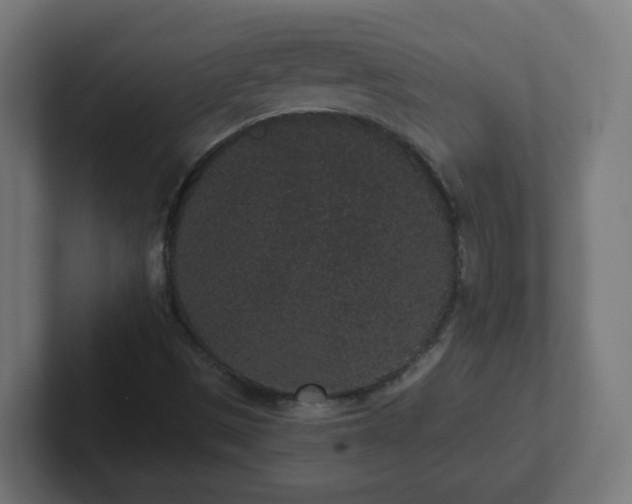 X0000102801497200808251038