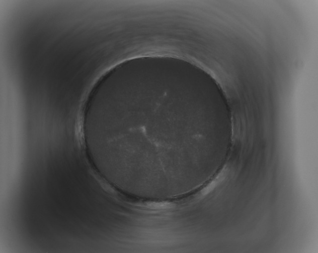 X0000102801498200808251038