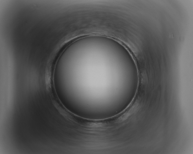 X0000102801499200808251038