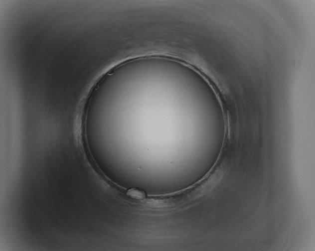 X0000102801500200808251038
