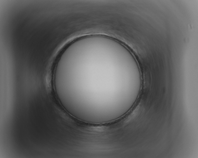 X0000102801502200808251038