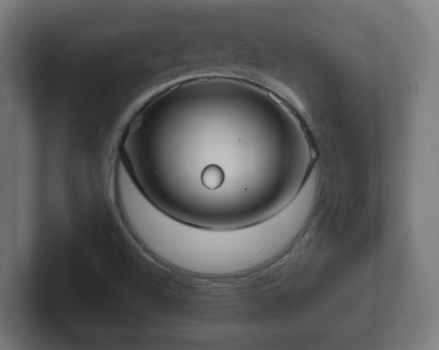 X0000102801504200808251038