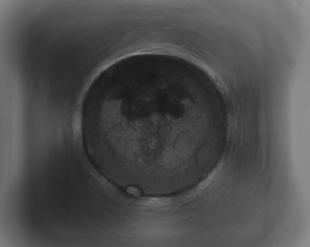 X0000102801506200808251038