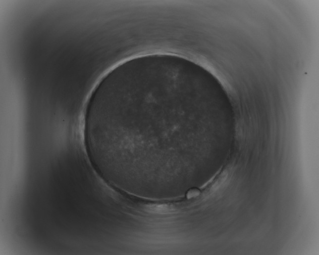 X0000102801508200808251038