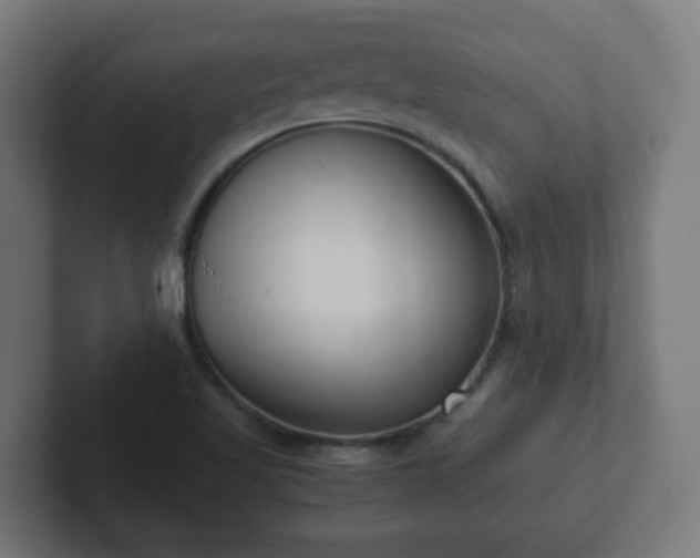 X0000102801509200808251038