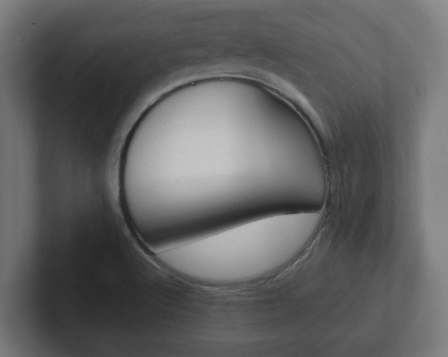 X0000102801512200808251038