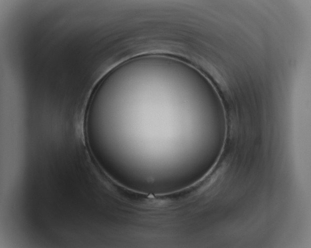 X0000102801513200808251038