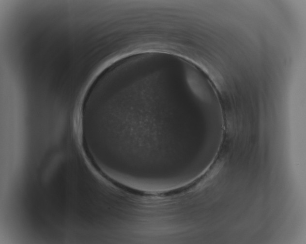 X0000102801515200808251038