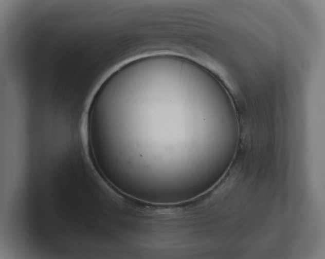 X0000102801516200808251038