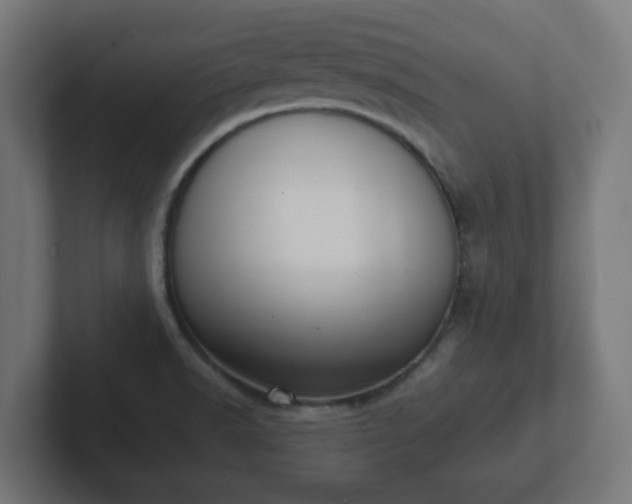 X0000102801518200808251038