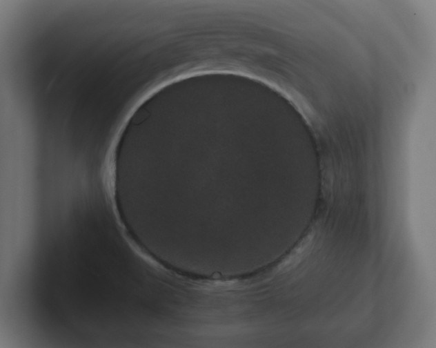 X0000102801519200808251038