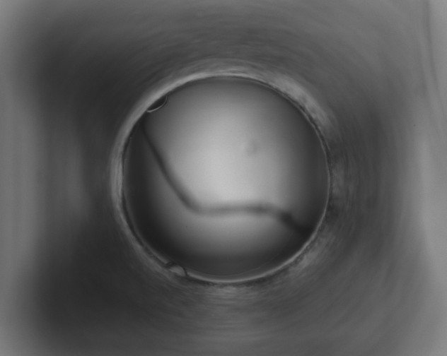 X0000102801520200808251038