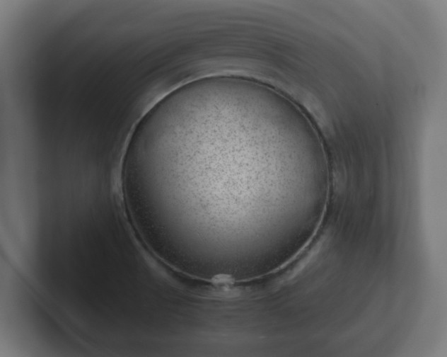 X0000102801521200808251038
