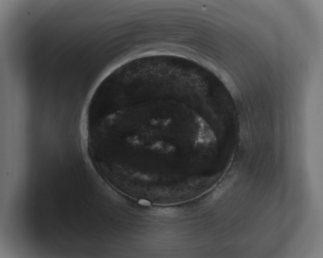 X0000102801522200808251038