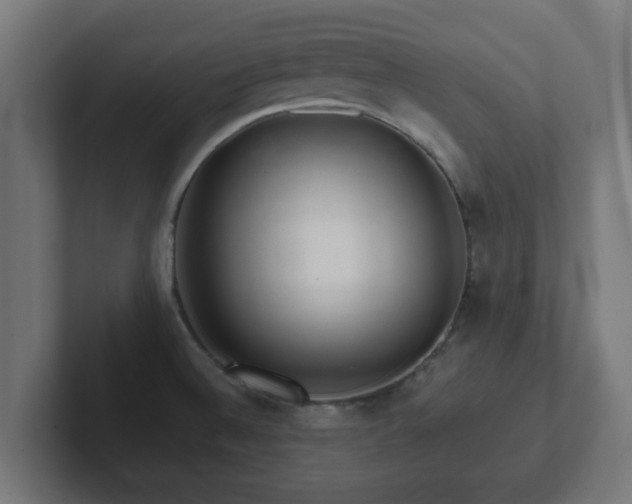 X0000102801524200808251039