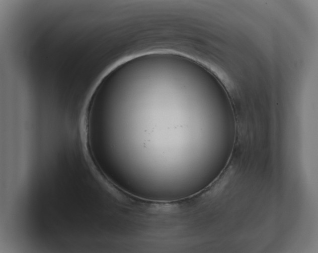 X0000102801526200808251039