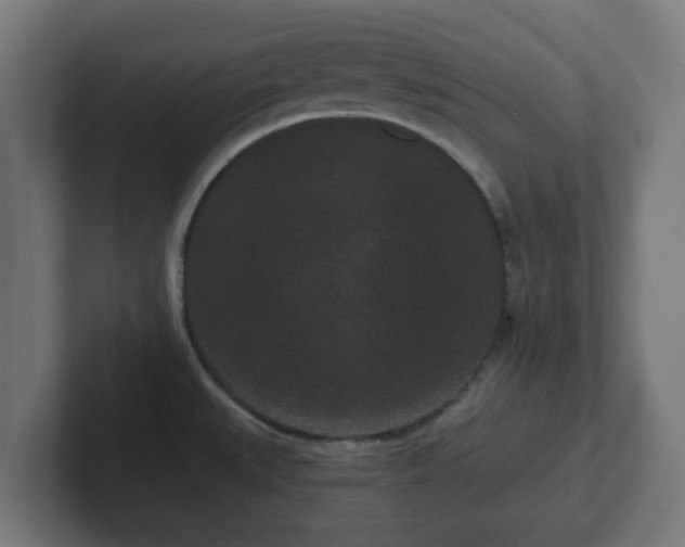 X0000102801527200808251039