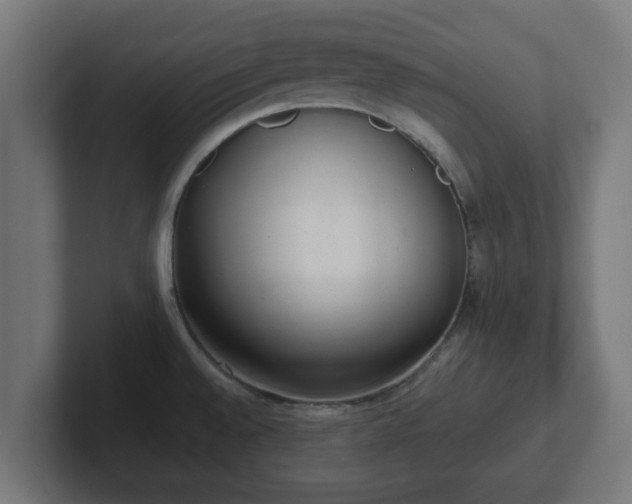 X0000102801528200808251039