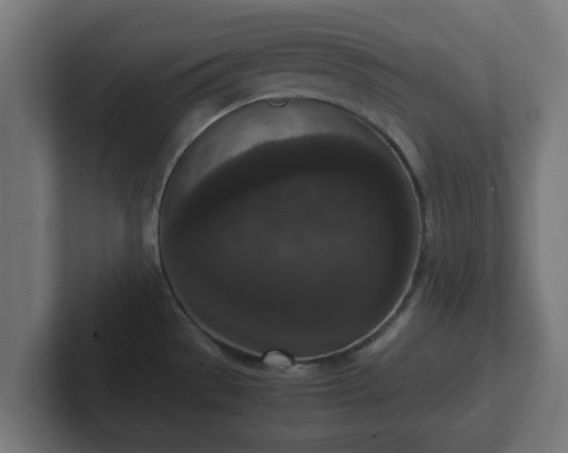 X0000102801529200808251039