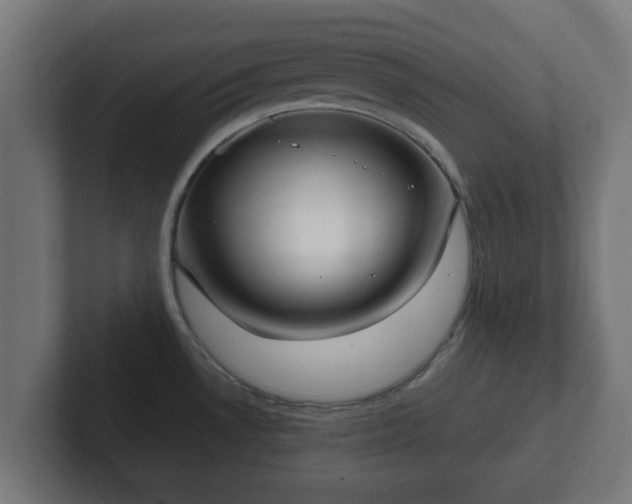 X0000102801530200808251039