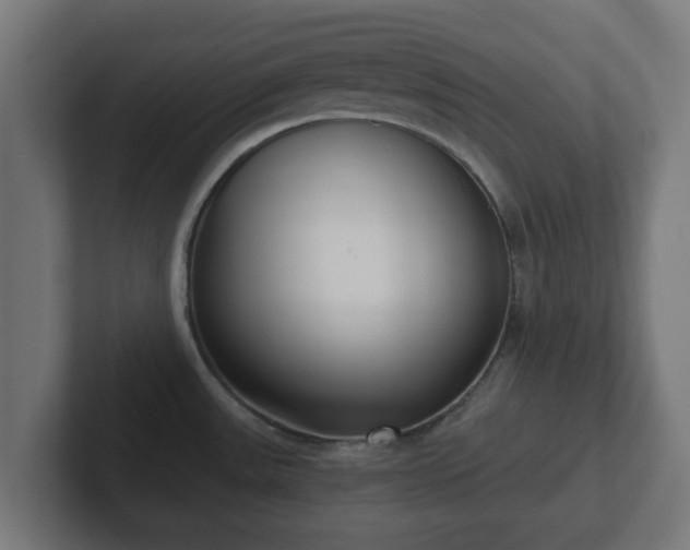 X0000102801531200808251039