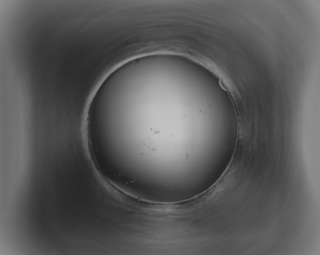 X0000102801532200808251039