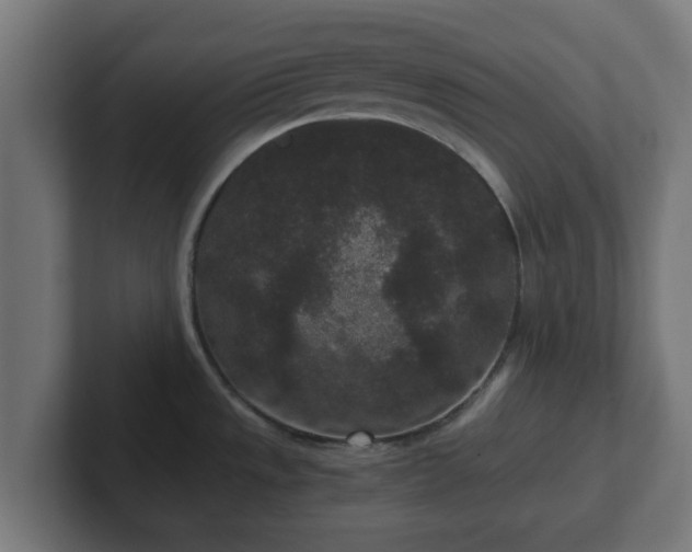 X0000102801533200808251039