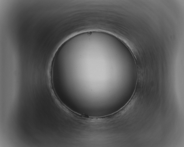 X0000102801534200808251039