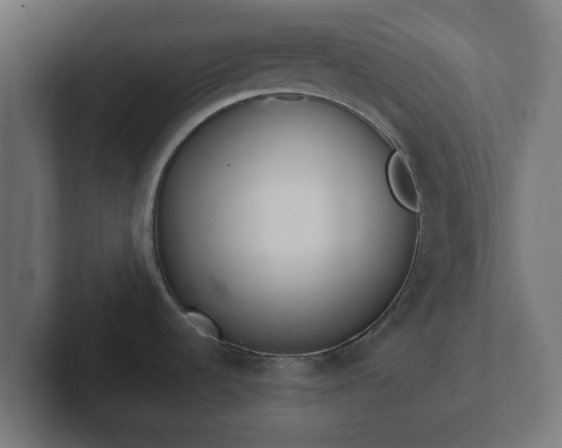 X0000102801536200808251039